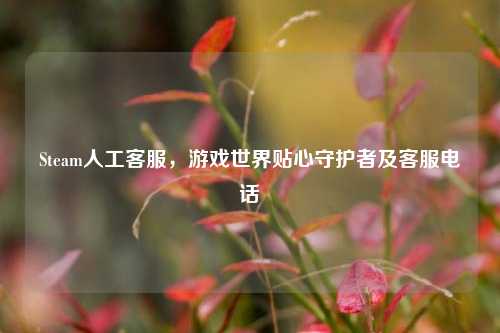 Steam人工客服，游戏世界贴心守护者及客服电话