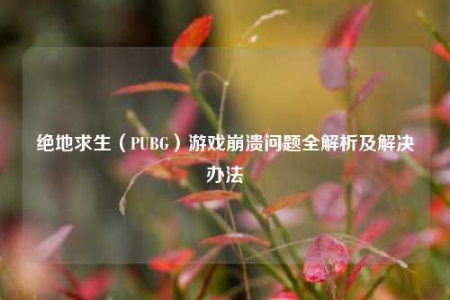 绝地求生（PUBG）游戏崩溃问题全解析及解决办法