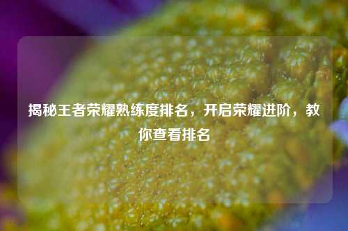 揭秘王者荣耀熟练度排名,开启荣耀进阶,教你查看排名