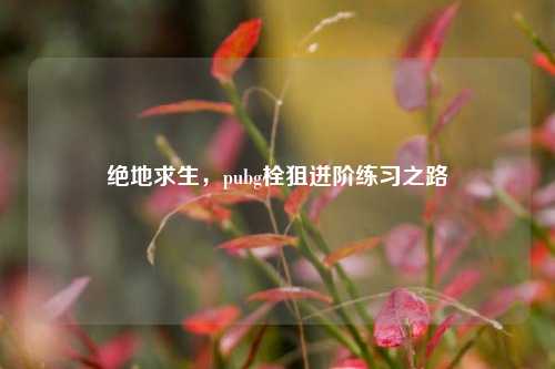 绝地求生，pubg栓狙进阶练习之路