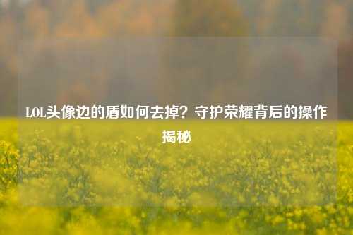 LOL头像边的盾如何去掉？守护荣耀背后的操作揭秘