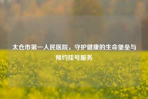 太仓市第一人民医院，守护健康的生命堡垒与预约挂号服务