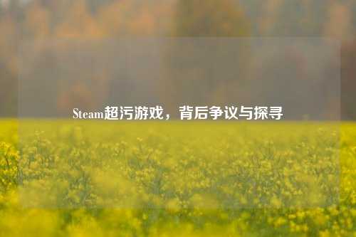 Steam超污游戏，背后争议与探寻