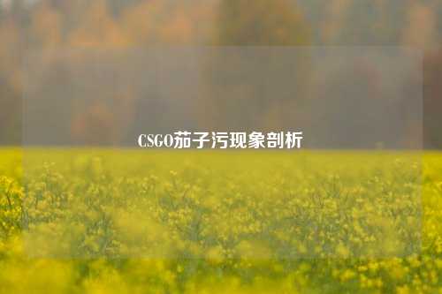 CSGO茄子污现象剖析