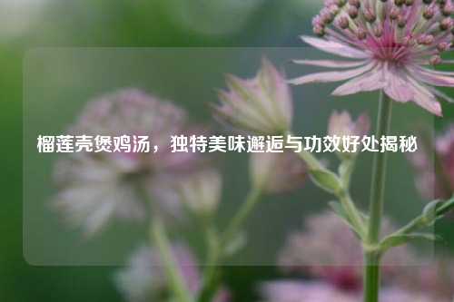 榴莲壳煲鸡汤,独特美味邂逅与功效好处揭秘