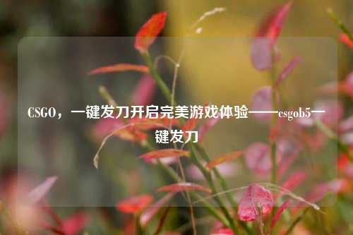 CSGO,一键发刀开启完美游戏体验——csgob5一键发刀