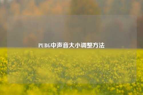 PUBG中声音大小调整方法