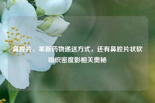 鼻腔片，革新药物递送方式，还有鼻腔片状软组织密度影相关奥秘
