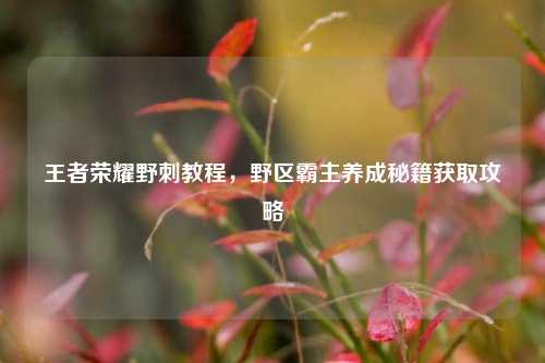 王者荣耀野刺教程，野区霸主养成秘籍获取攻略