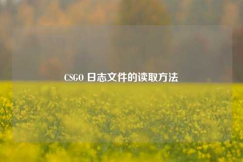 CSGO 日志文件的读取方法