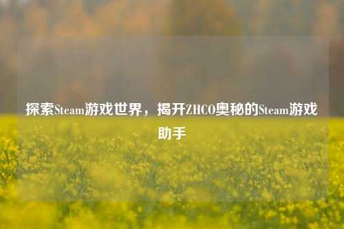 探索Steam游戏世界，揭开ZHCO奥秘的Steam游戏助手