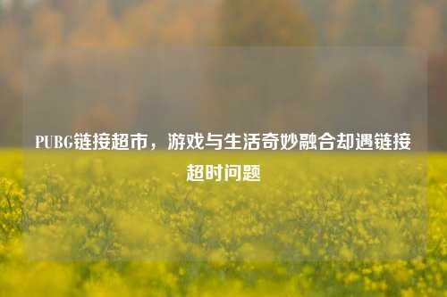 PUBG链接超市，游戏与生活奇妙融合却遇链接超时问题