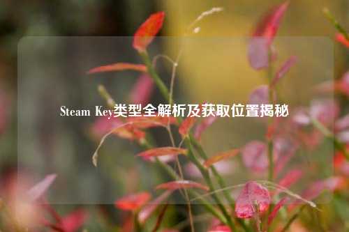 Steam Key类型全解析及获取位置揭秘