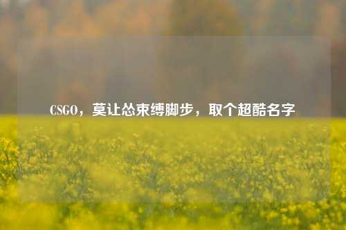 CSGO,莫让怂束缚脚步,取个超酷名字