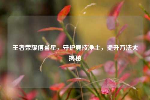 王者荣耀信誉星，守护竞技净土，提升方法大揭秘