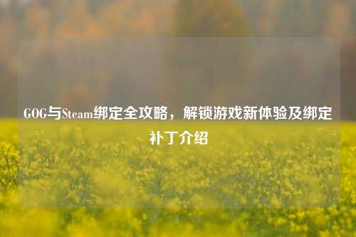 GOG与Steam绑定全攻略,解锁游戏新体验及绑定补丁介绍