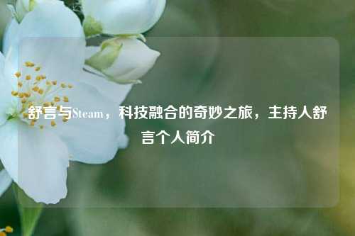 舒言与Steam,科技融合的奇妙之旅,主持人舒言个人简介
