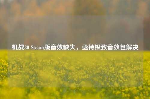 机战30 Steam版音效缺失,亟待极致音效包解决