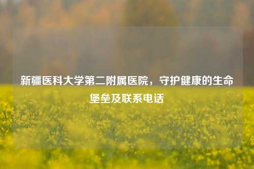 新疆医科大学第二附属医院，守护健康的生命堡垒及联系电话