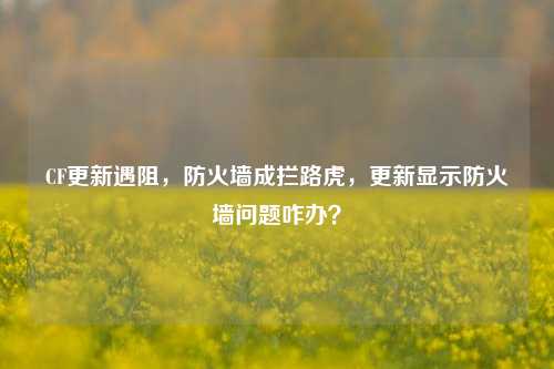 CF更新遇阻,防火墙成拦路虎,更新显示防火墙问题咋办?