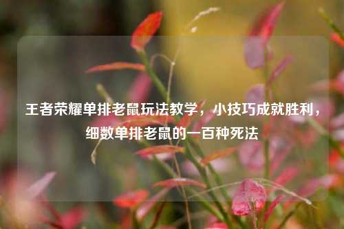 王者荣耀单排老鼠玩法教学,小技巧成就胜利,细数单排老鼠的一百种死法