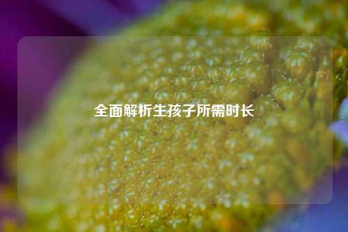 全面解析生孩子所需时长
