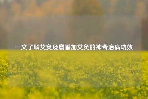 一文了解艾灸及麝香加艾灸的神奇治病功效