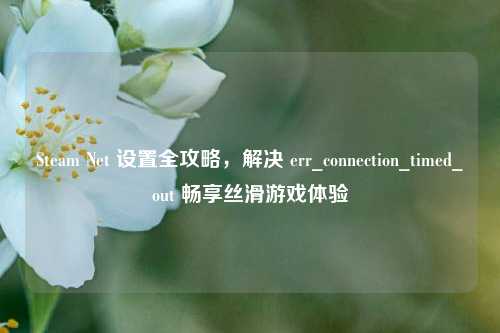 Steam Net 设置全攻略，解决 err_connection_timed_out 畅享丝滑游戏体验