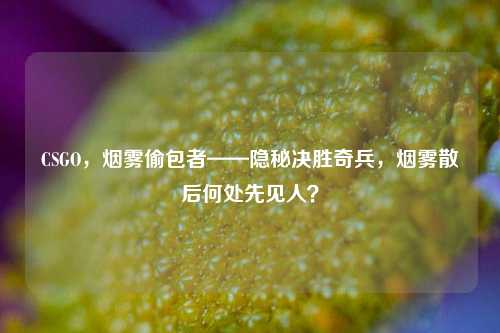 CSGO，烟雾偷包者——隐秘决胜奇兵，烟雾散后何处先见人？