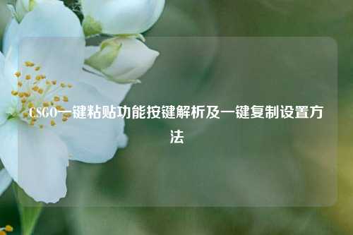 CSGO一键粘贴功能按键解析及一键复制设置方法
