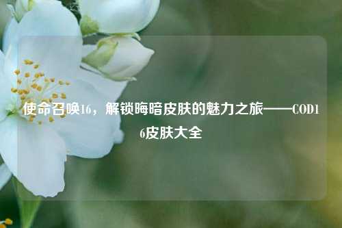 使命召唤16，解锁晦暗皮肤的魅力之旅——COD16皮肤大全