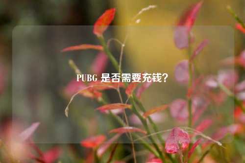 PUBG 是否需要充钱？