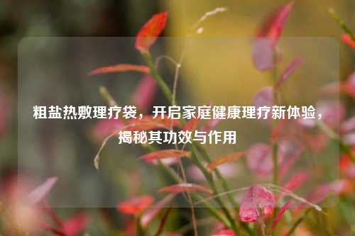 粗盐热敷理疗袋，开启家庭健康理疗新体验，揭秘其功效与作用