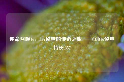 使命召唤16，357侦查的传奇之旅——COD16侦查特长.357