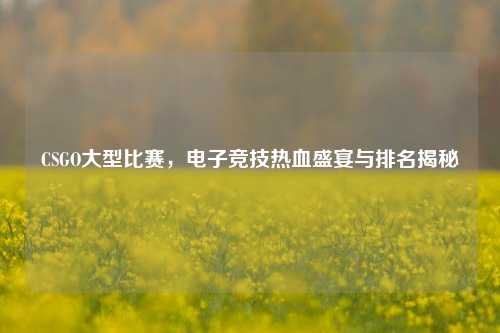 CSGO大型比赛，电子竞技热血盛宴与排名揭秘