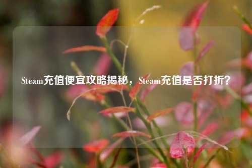 Steam充值便宜攻略揭秘,Steam充值是否打折?