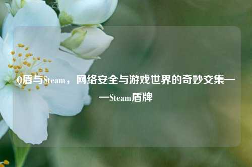 Q盾与Steam, *** 安全与游戏世界的奇妙交集——Steam盾牌