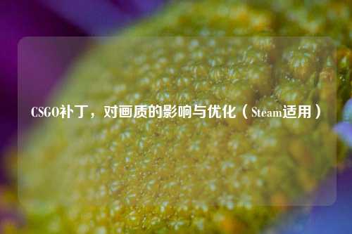 CSGO补丁,对画质的影响与优化(Steam适用)