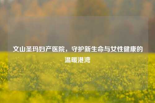文山圣玛妇产医院，守护新生命与女性健康的温暖港湾