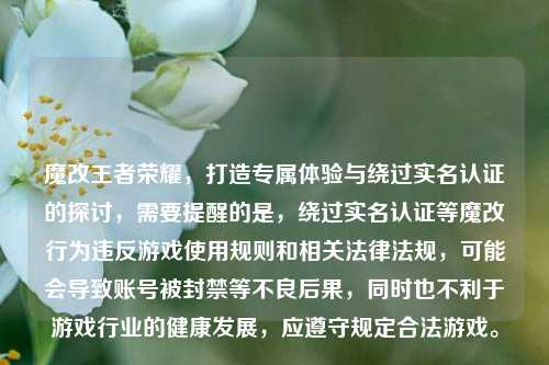 魔改王者荣耀，打造专属体验与绕过实名认证的探讨，需要提醒的是，绕过实名认证等魔改行为违反游戏使用规则和相关法律法规，可能会导致账号被封禁等不良后果，同时也不利于游戏行业的健康发展，应遵守规定合法游戏。