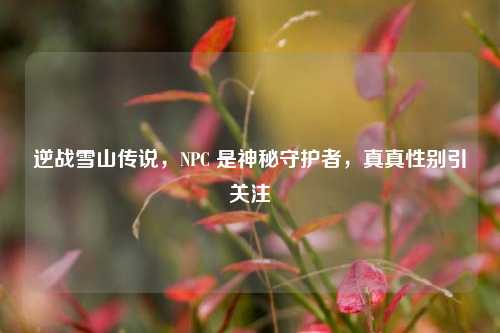 逆战雪山传说，NPC 是神秘守护者，真真性别引关注