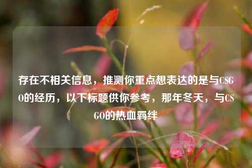 存在不相关信息，推测你重点想表达的是与CSGO的经历，以下标题供你参考，那年冬天，与CSGO的热血羁绊