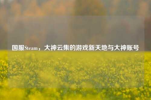 国服Steam,大神云集的游戏新天地与大神账号