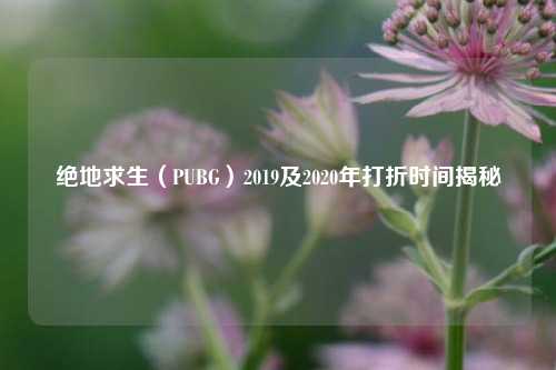 绝地求生（PUBG）2019及2020年打折时间揭秘