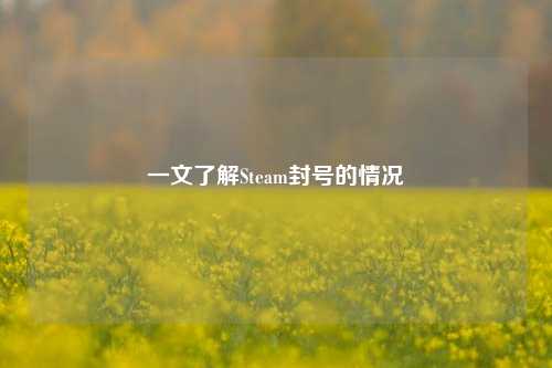 一文了解Steam封号的情况
