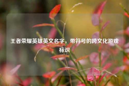 王者荣耀英雄英文名字，带符号的跨文化游戏标识