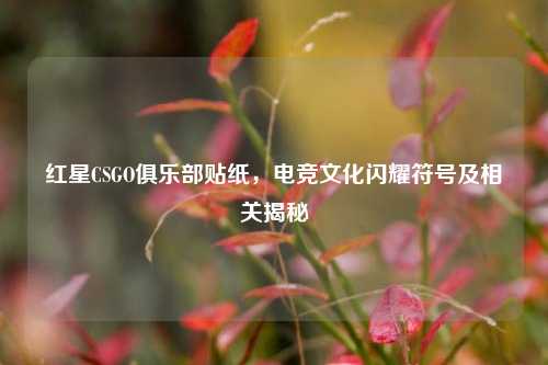 红星CSGO俱乐部贴纸,电竞文化闪耀符号及相关揭秘