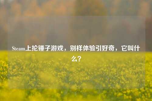 Steam上抡锤子游戏,别样体验引好奇,它叫什么?