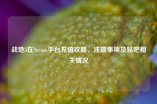 战地5在Steam平台充值攻略、注意事项及贴吧相关情况