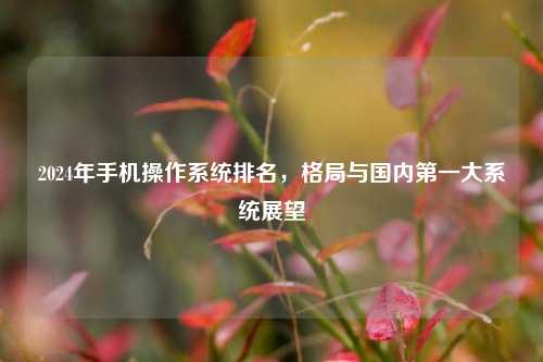 2024年手机操作系统排名,格局与国内之一大系统展望